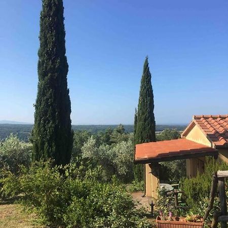 Casa Belvedere -Tranquillita Tra Bosco E Ulivi- ريباربيلا المظهر الخارجي الصورة
