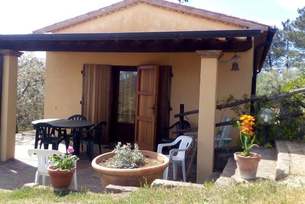 Casa Belvedere -Tranquillita Tra Bosco E Ulivi- ريباربيلا المظهر الخارجي الصورة