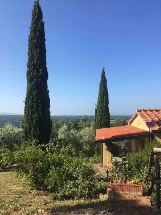 Casa Belvedere -Tranquillita Tra Bosco E Ulivi- ريباربيلا المظهر الخارجي الصورة