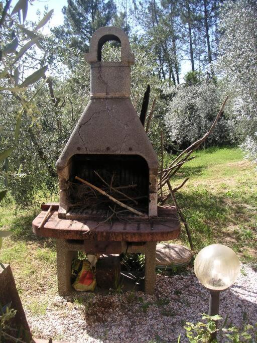 Casa Belvedere -Tranquillita Tra Bosco E Ulivi- ريباربيلا المظهر الخارجي الصورة