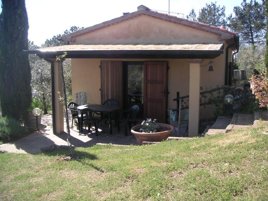 Casa Belvedere -Tranquillita Tra Bosco E Ulivi- ريباربيلا المظهر الخارجي الصورة