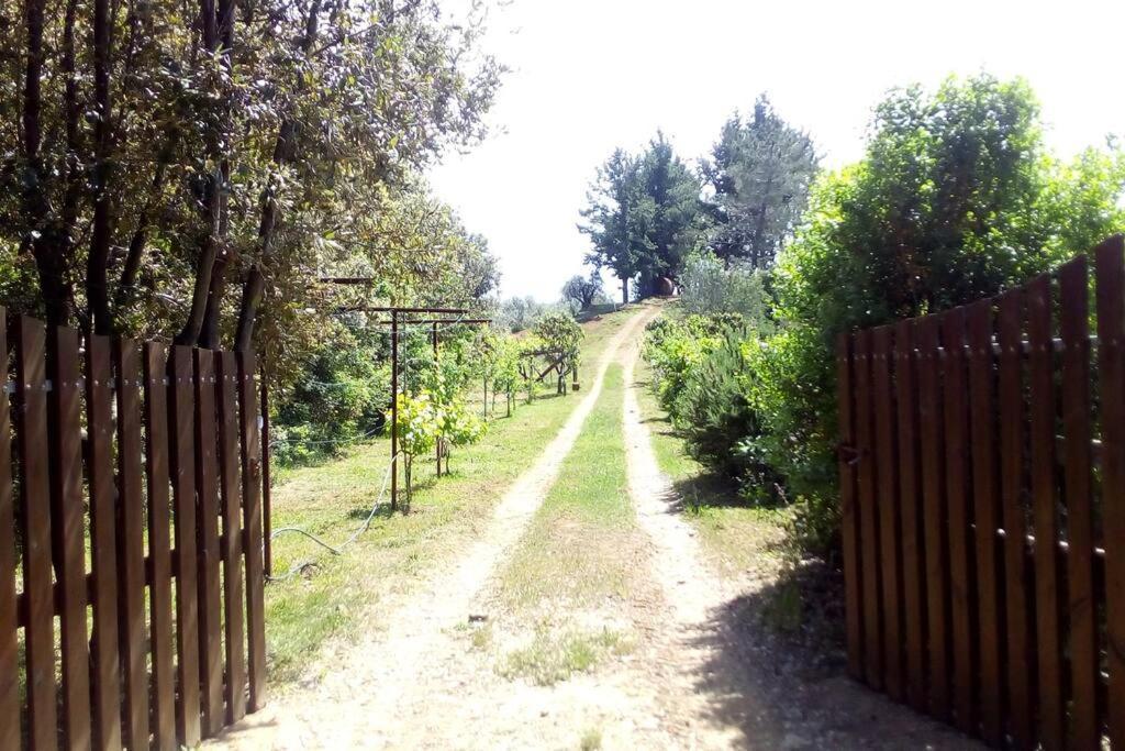 Casa Belvedere -Tranquillita Tra Bosco E Ulivi- ريباربيلا المظهر الخارجي الصورة