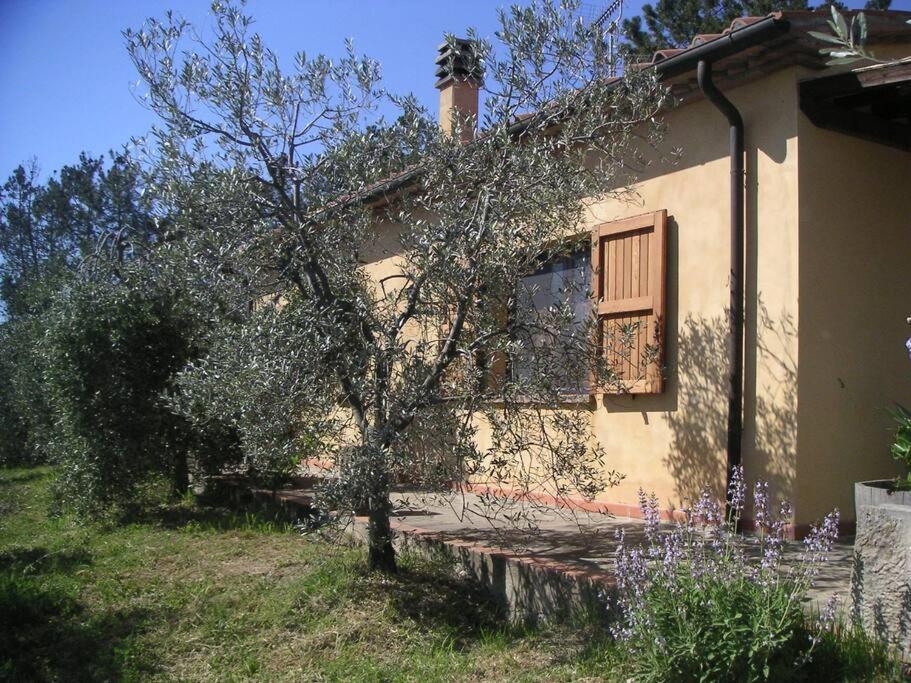 Casa Belvedere -Tranquillita Tra Bosco E Ulivi- ريباربيلا المظهر الخارجي الصورة