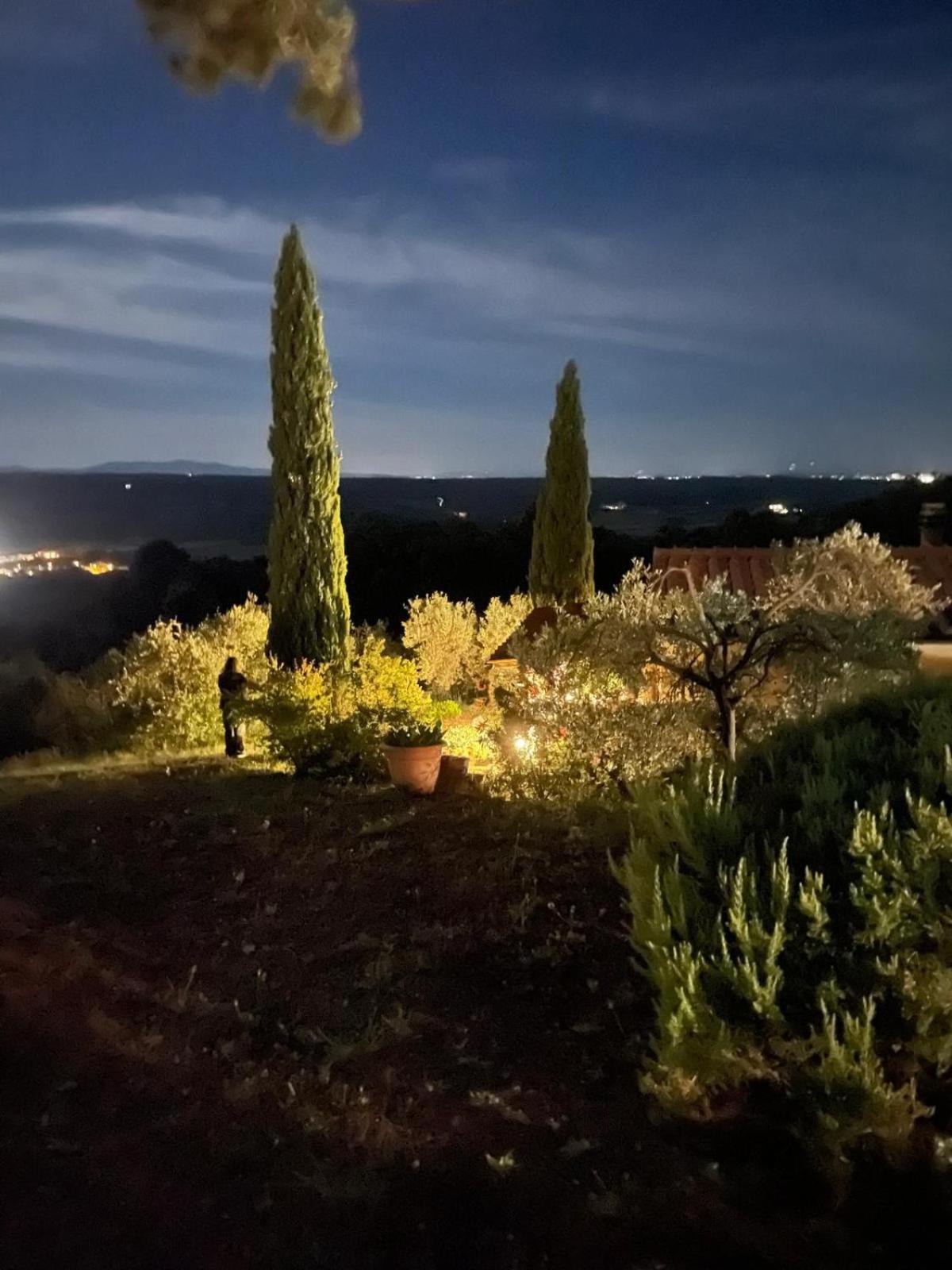 Casa Belvedere -Tranquillita Tra Bosco E Ulivi- ريباربيلا المظهر الخارجي الصورة
